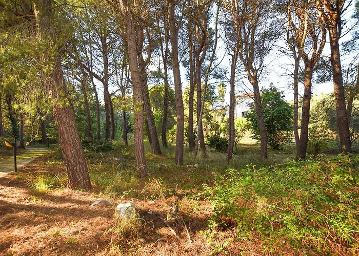 Trullo 1474 度假居 切列梅萨皮卡