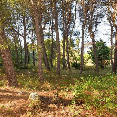 Trullo 1474 Nyaraló Ceglie Messapica